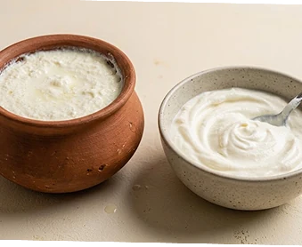 Yogurt