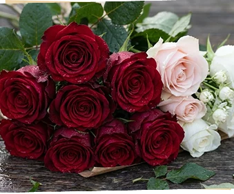 Roses
